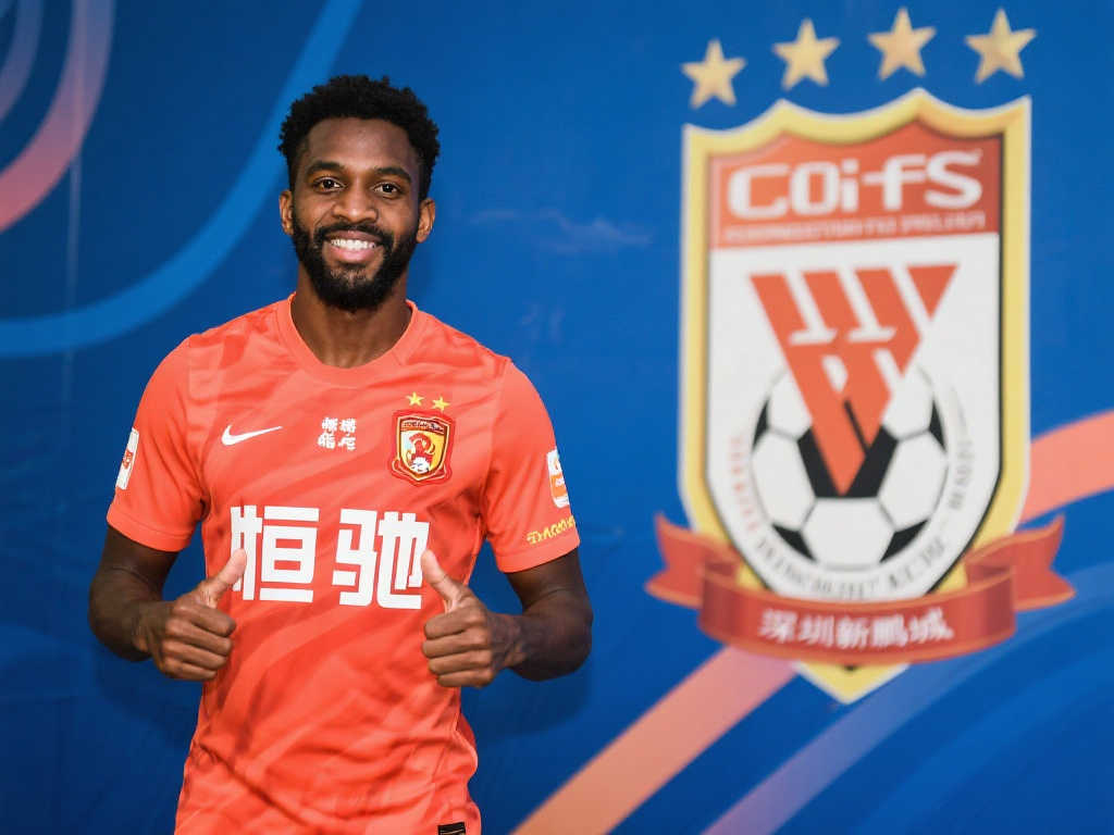 行政主导