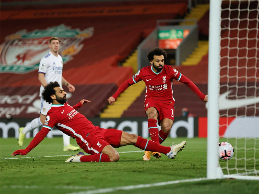 作为对比 作为对比